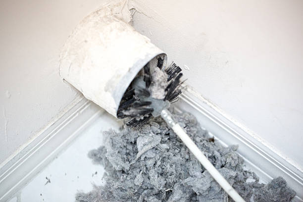 Best Dryer Vent Cleaning Services  in Wadley, GA