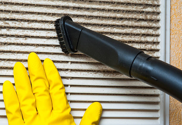 Best Professional Duct Cleaning Services  in Wadley, GA